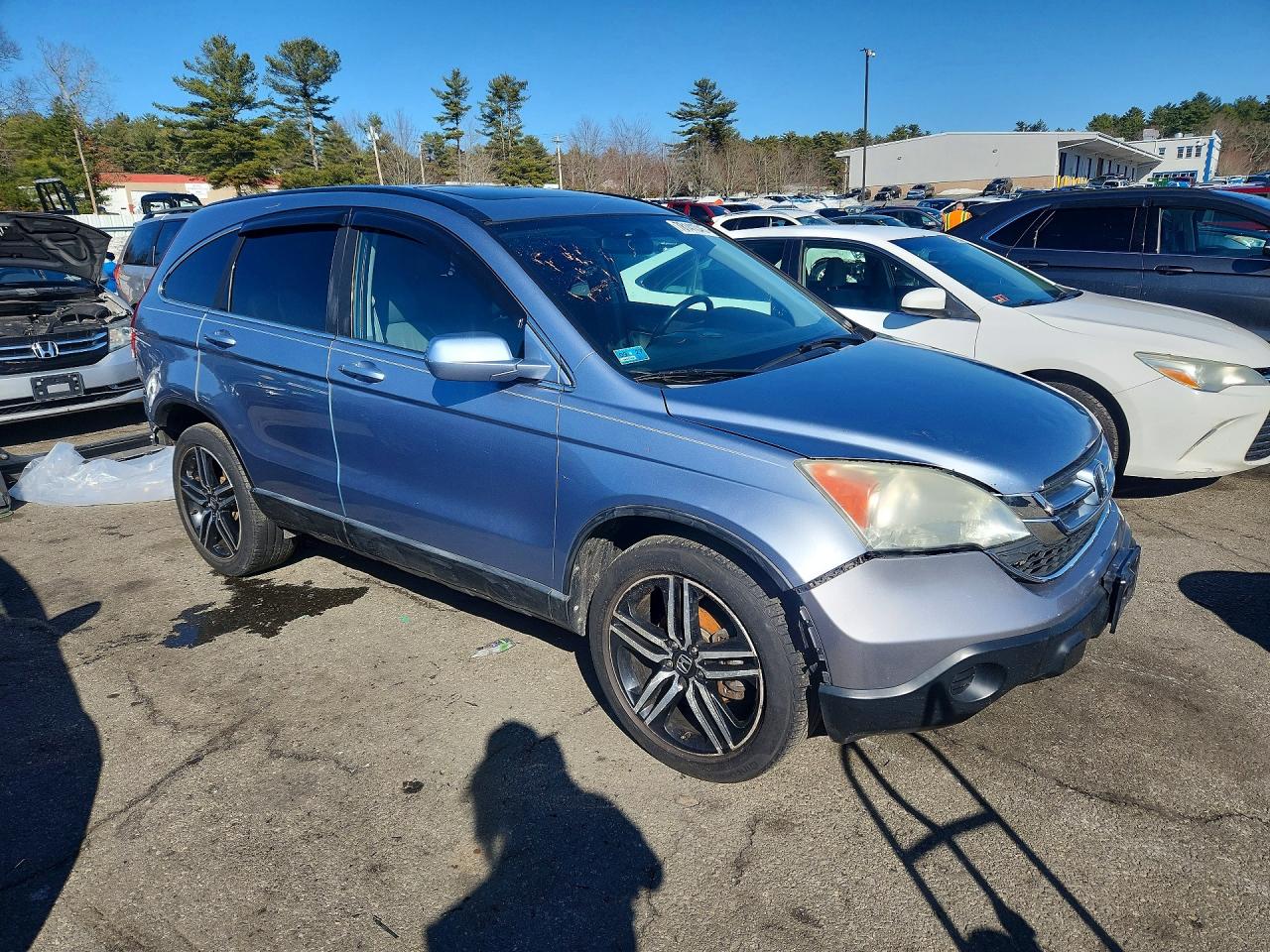 2010 HONDA CR-V EXL photo 7