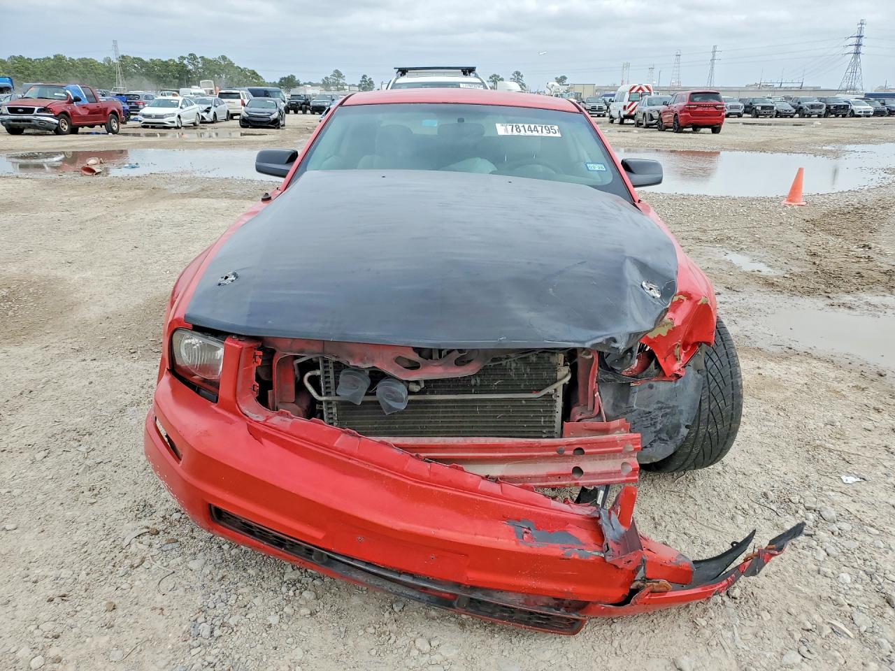 2007 FORD MUSTANG photo 5