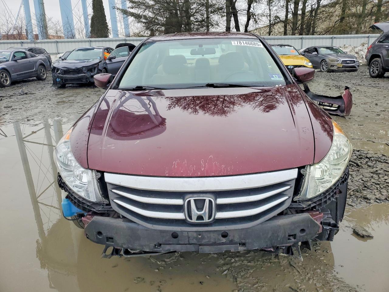 2011 HOND ACCORD LXP photo 5