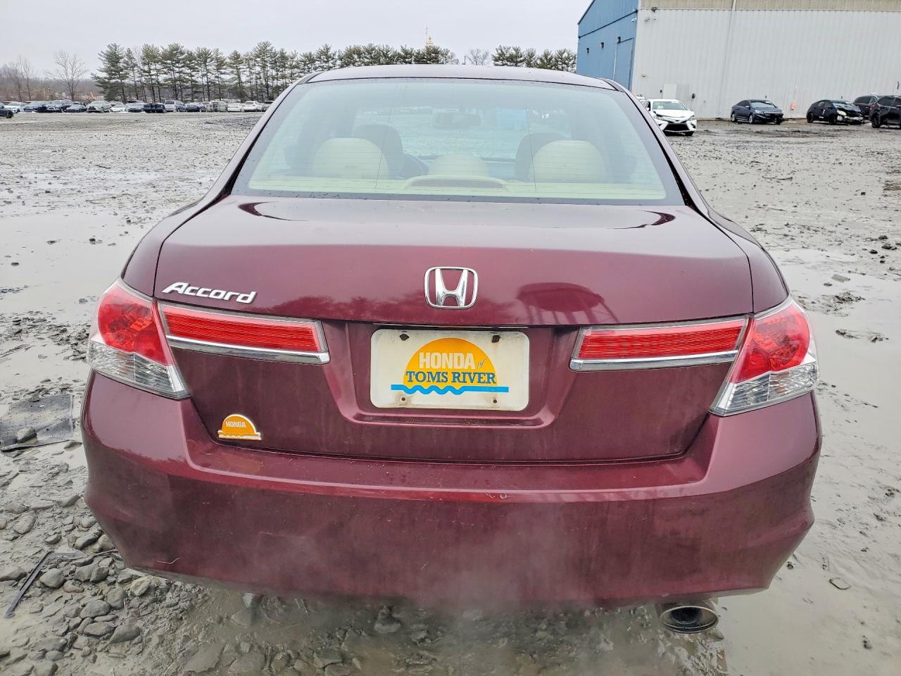 2011 HOND ACCORD LXP photo 6