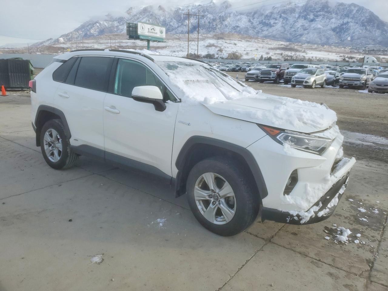 2019 TOYOTA RAV4 photo 4