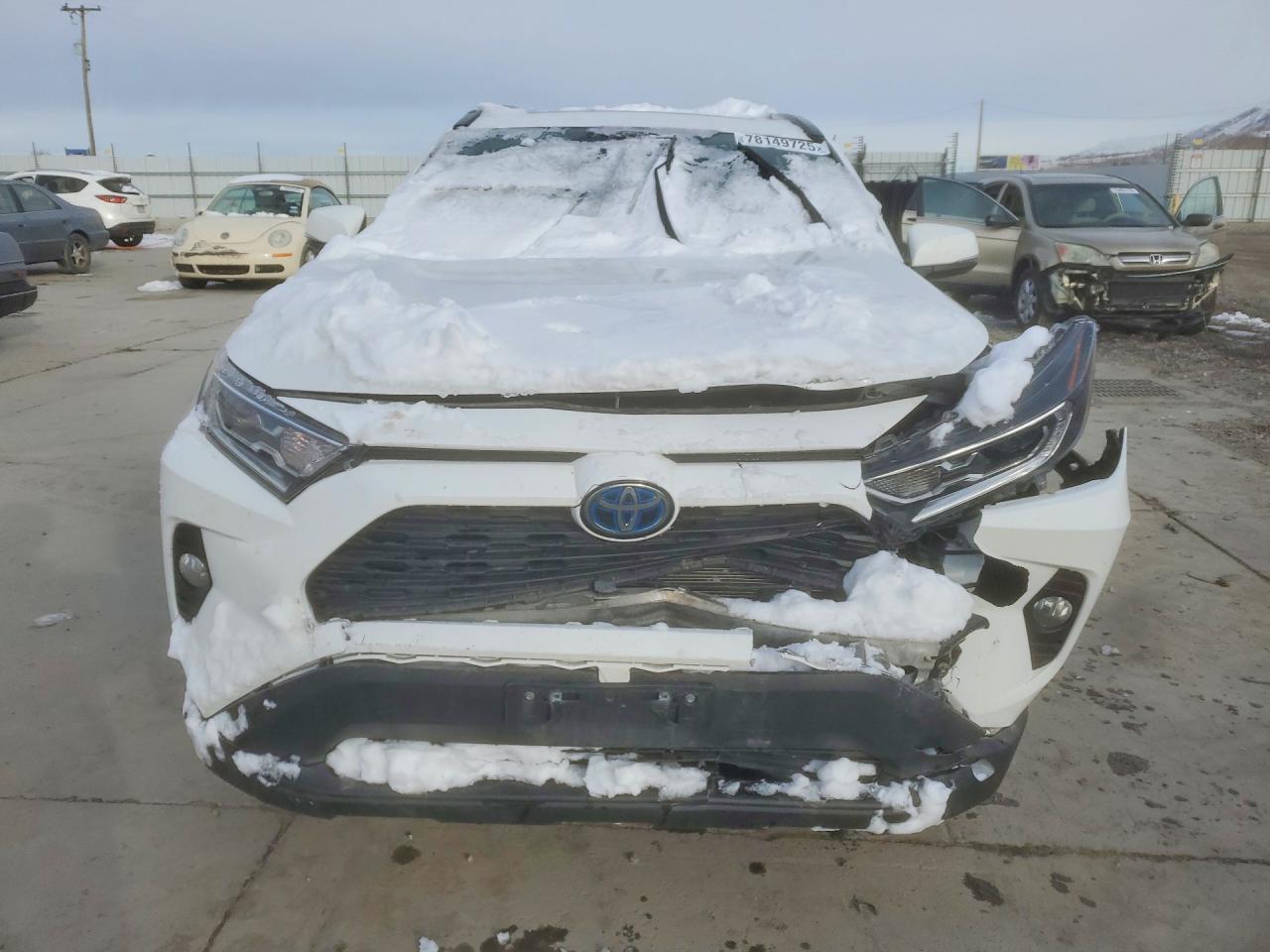 2019 TOYOTA RAV4 photo 5
