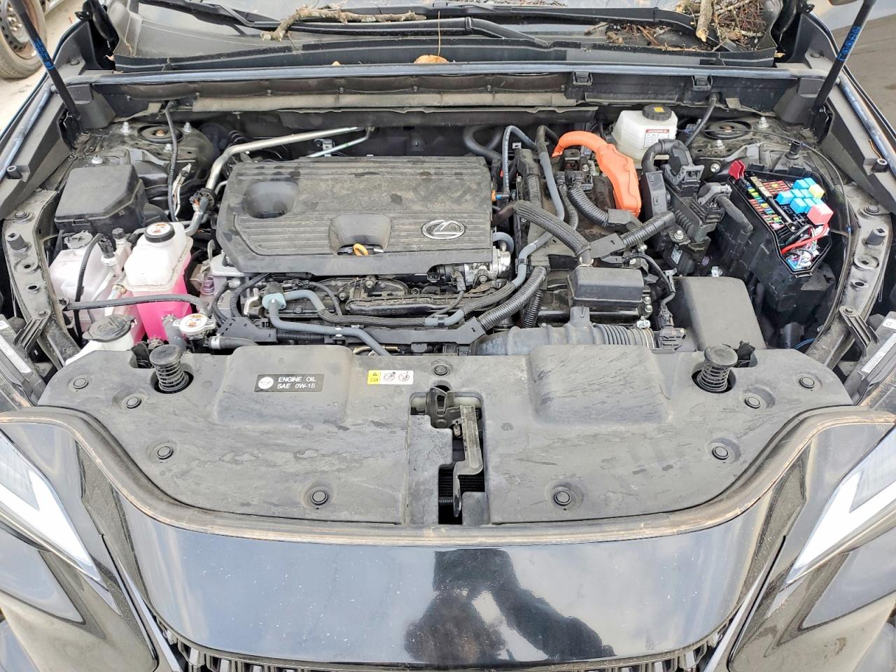 2024 LEXUS NX 350H BASE photo 12