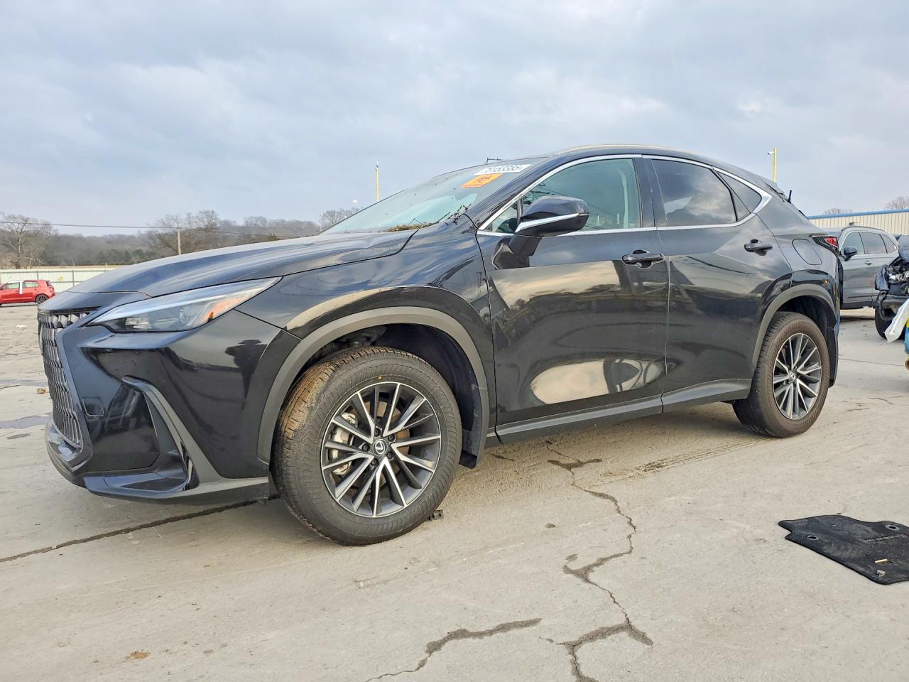2024 LEXUS NX