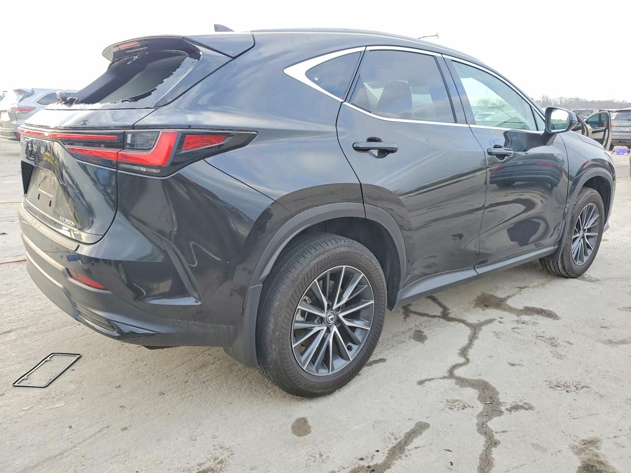2024 LEXUS NX 350H BASE photo 3