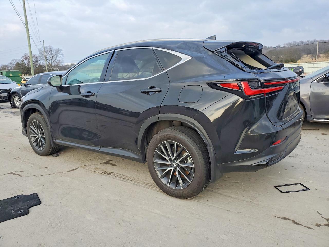 2024 LEXUS NX 350H BASE photo 2