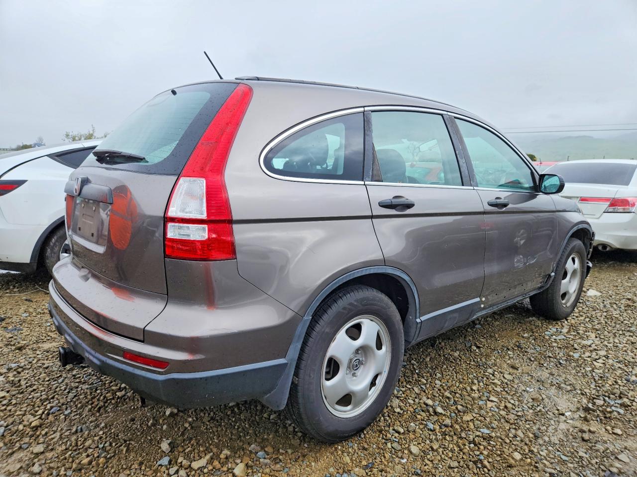 2010 HONDA CR-V LX photo 3