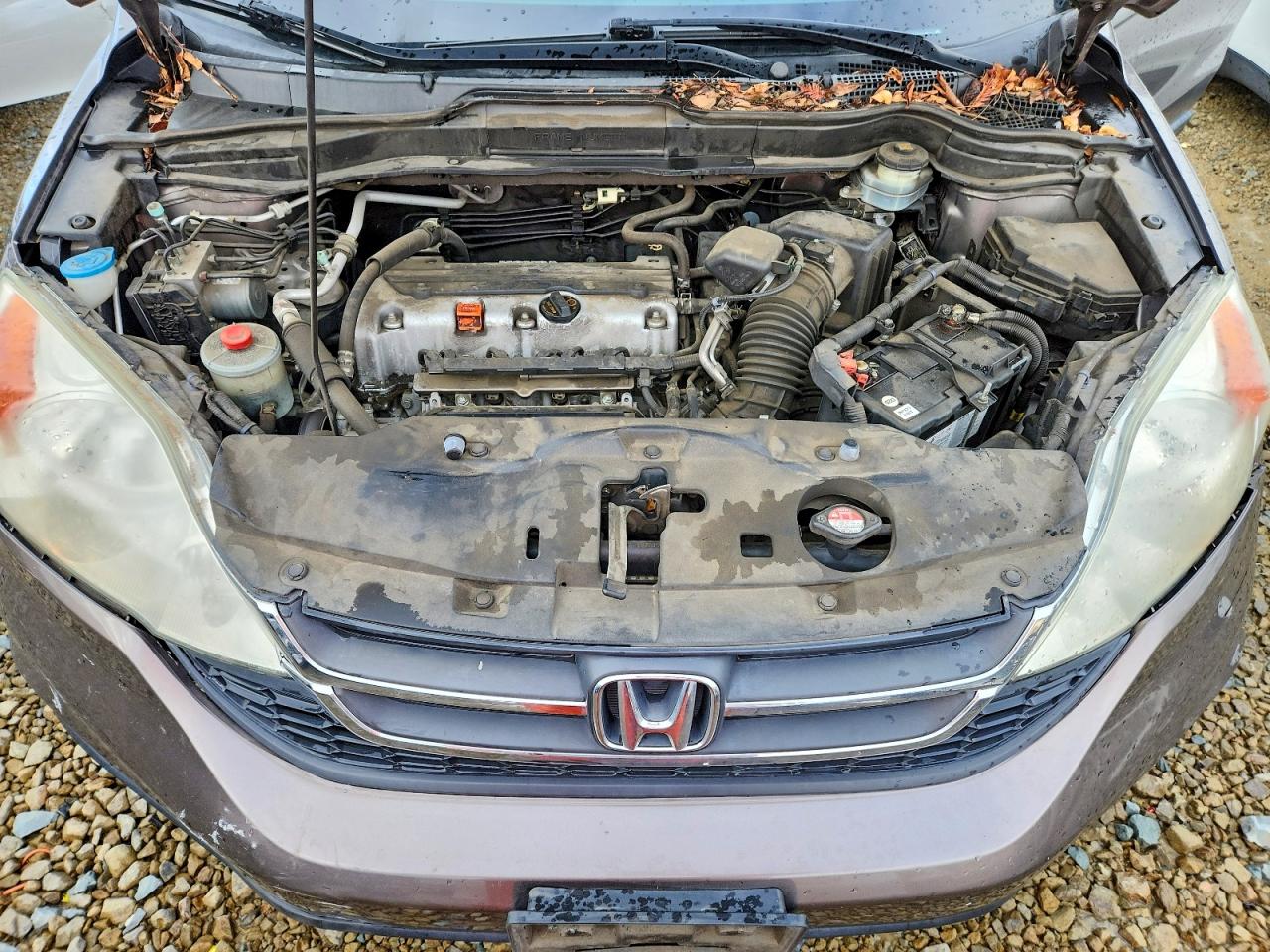 2010 HONDA CR-V LX photo 12