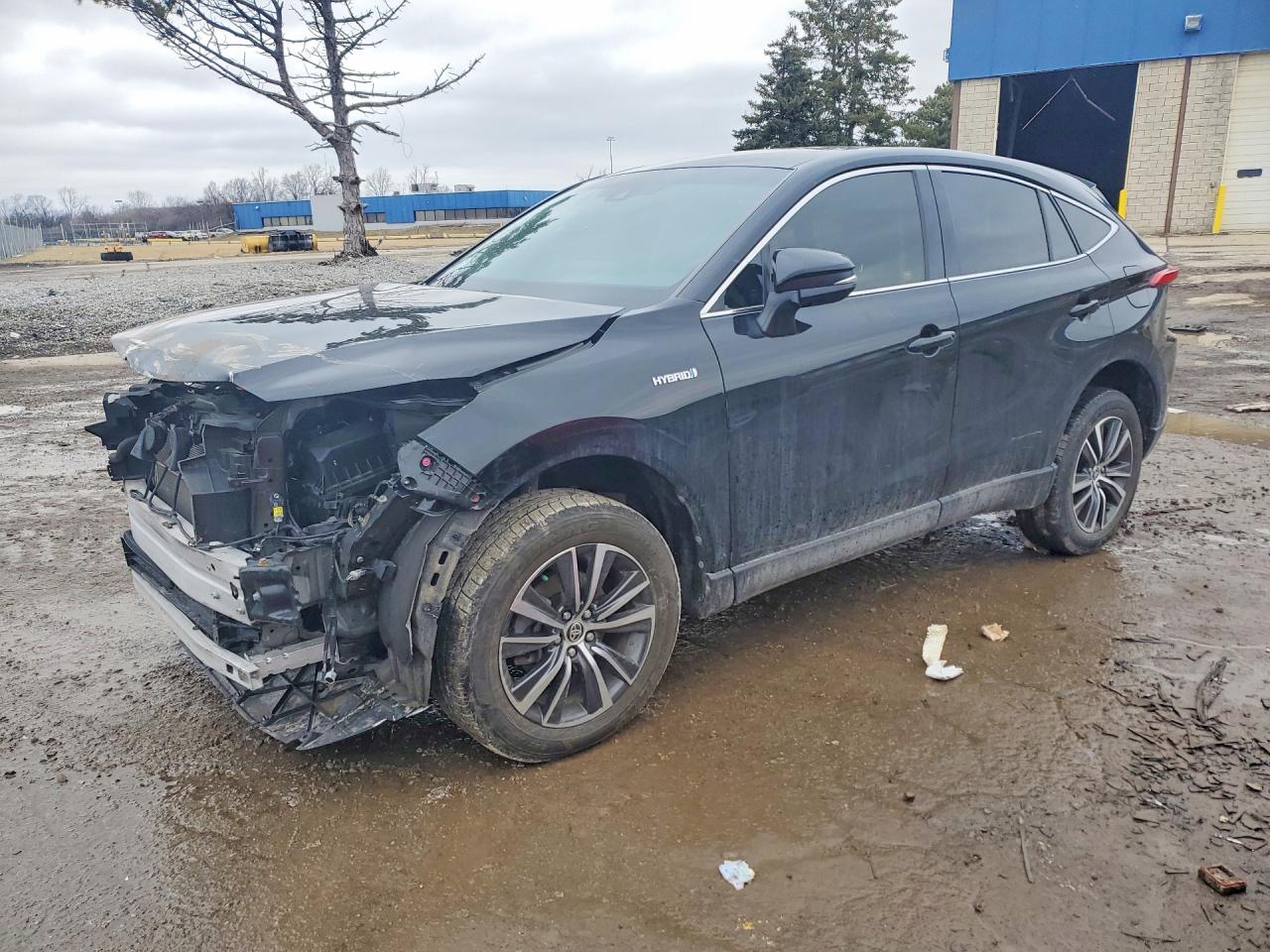 2021 TOYOTA VENZA