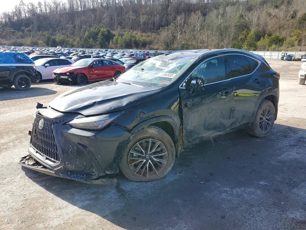 2025 LEXUS NX