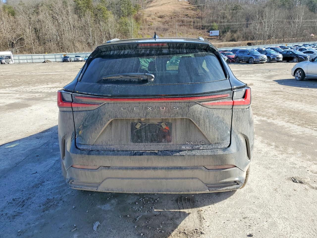 2025 LEXUS NX photo 6