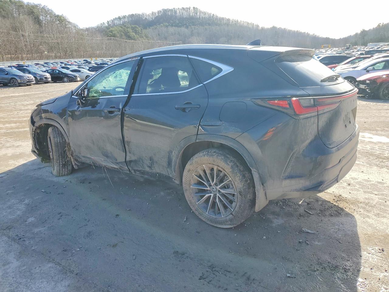 2025 LEXUS NX photo 2