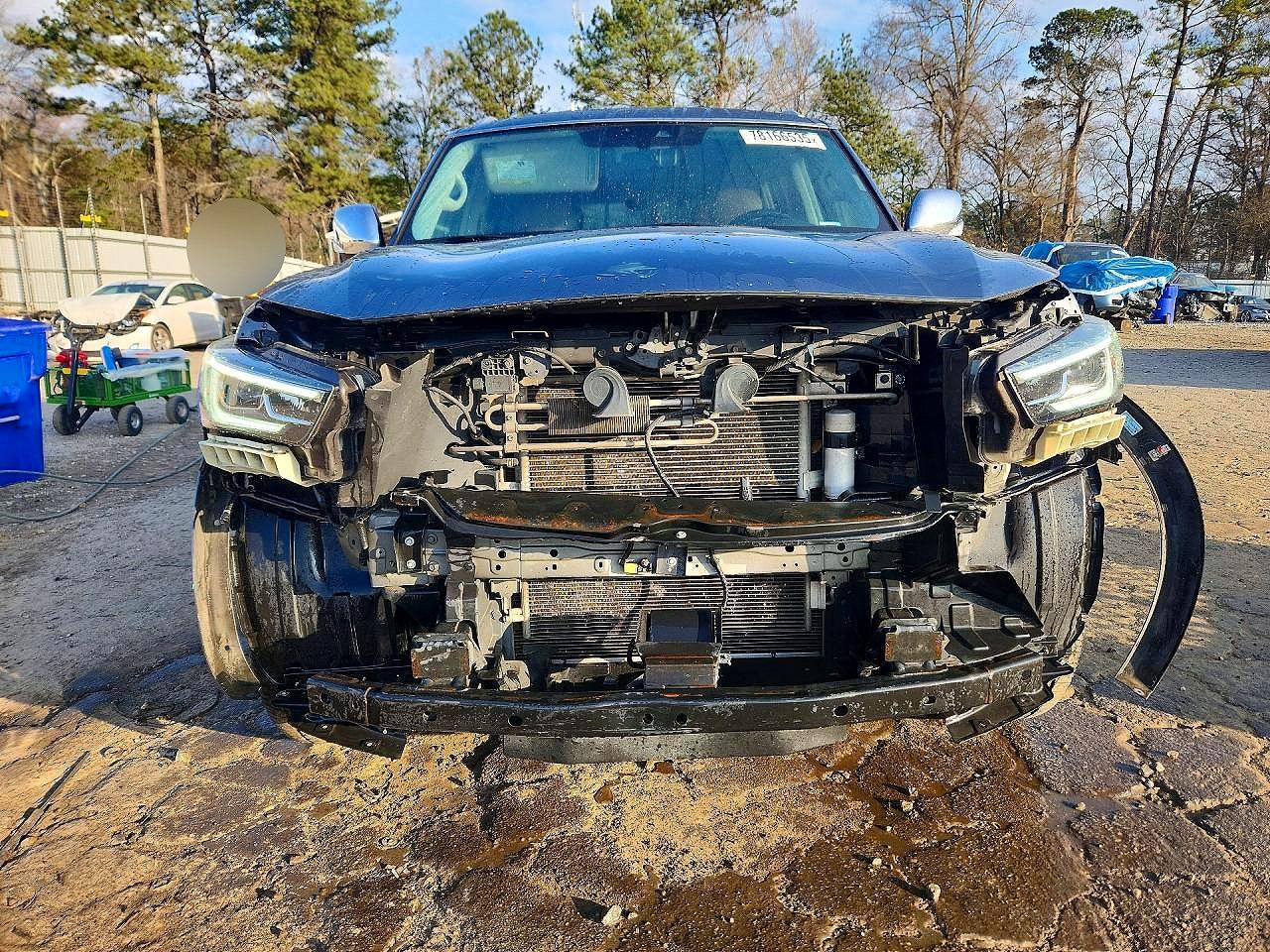 2018 INFINITI QX80 BASE photo 13