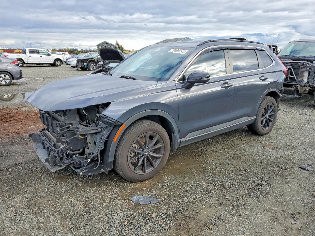 2024 HONDA CR-V