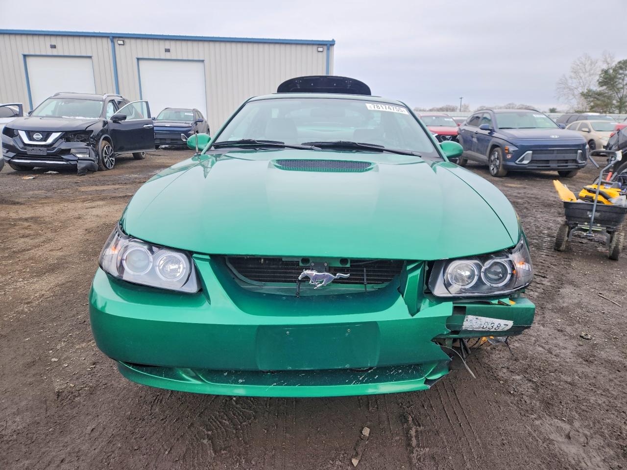 2000 FORD MUSTANG photo 5