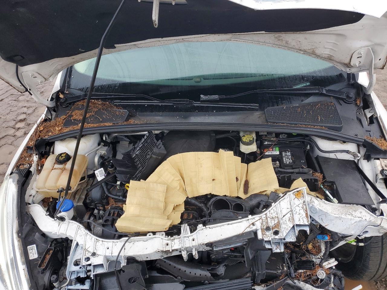 2017 FORD FOCUS TITANIUM photo 11