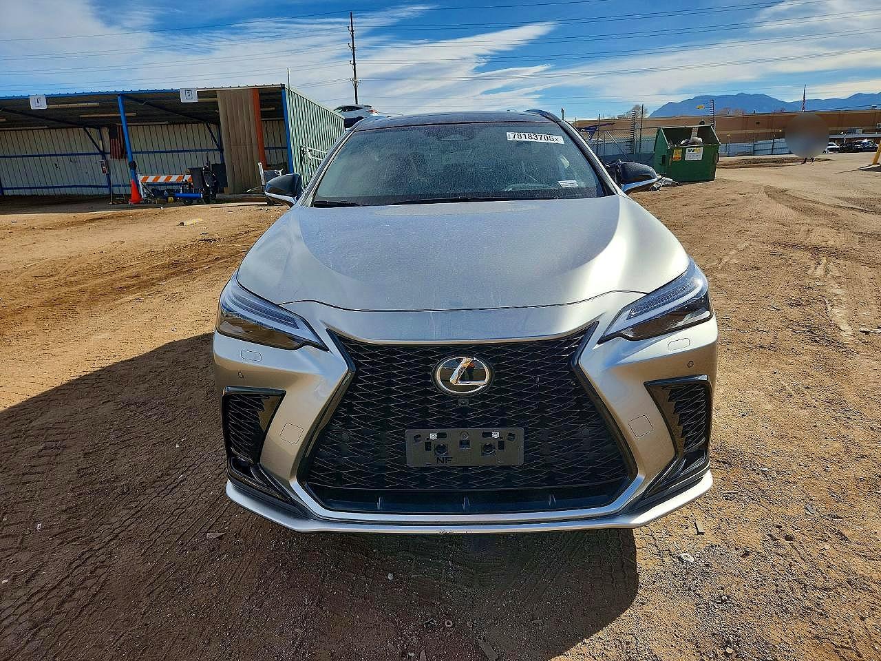 2025 LEXUS NX 450H LUXURY photo 5