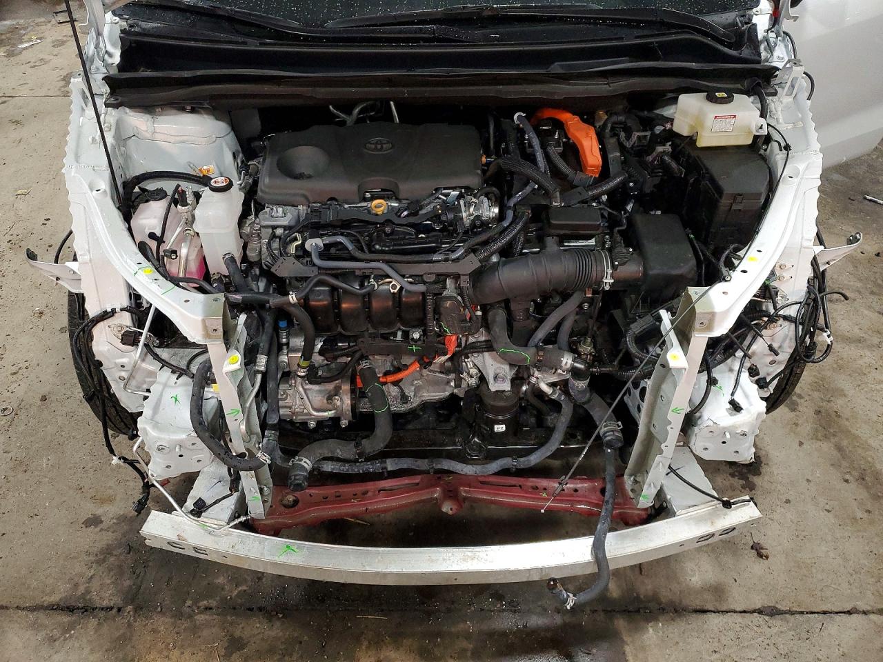 2025 TOYOTA SIENNA XLE photo 12
