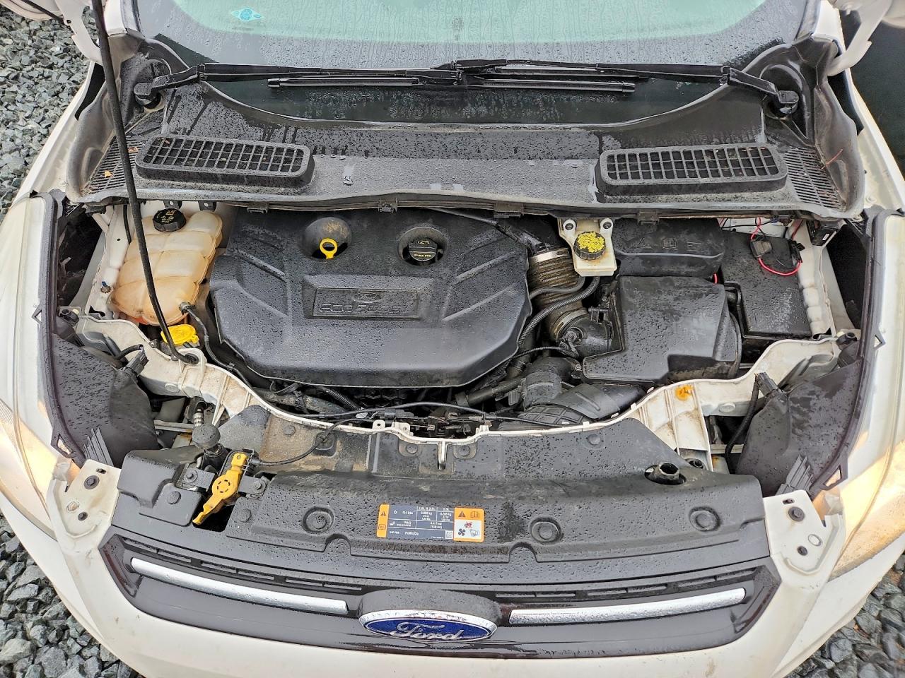2016 FORD ESCAPE SE photo 21