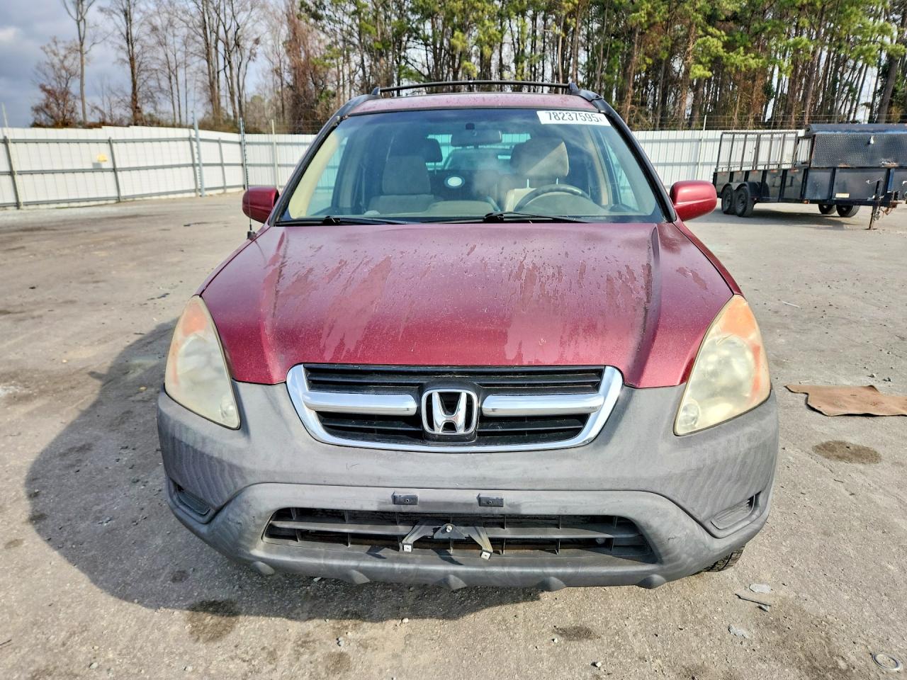 2003 HONDA CR-V EX photo 5