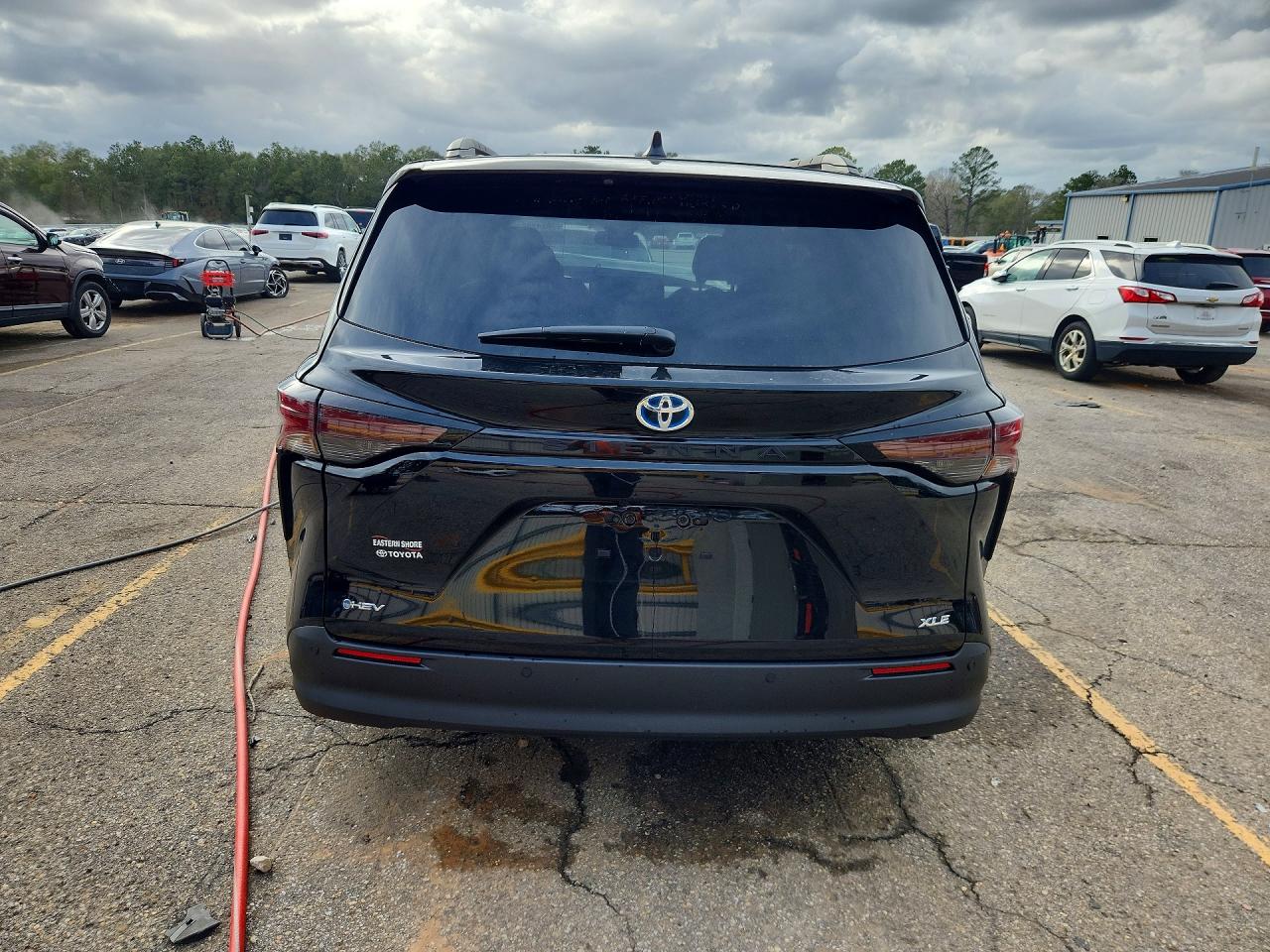 2025 TOYOTA SIENNA XLE 8-PASSENGER photo 11