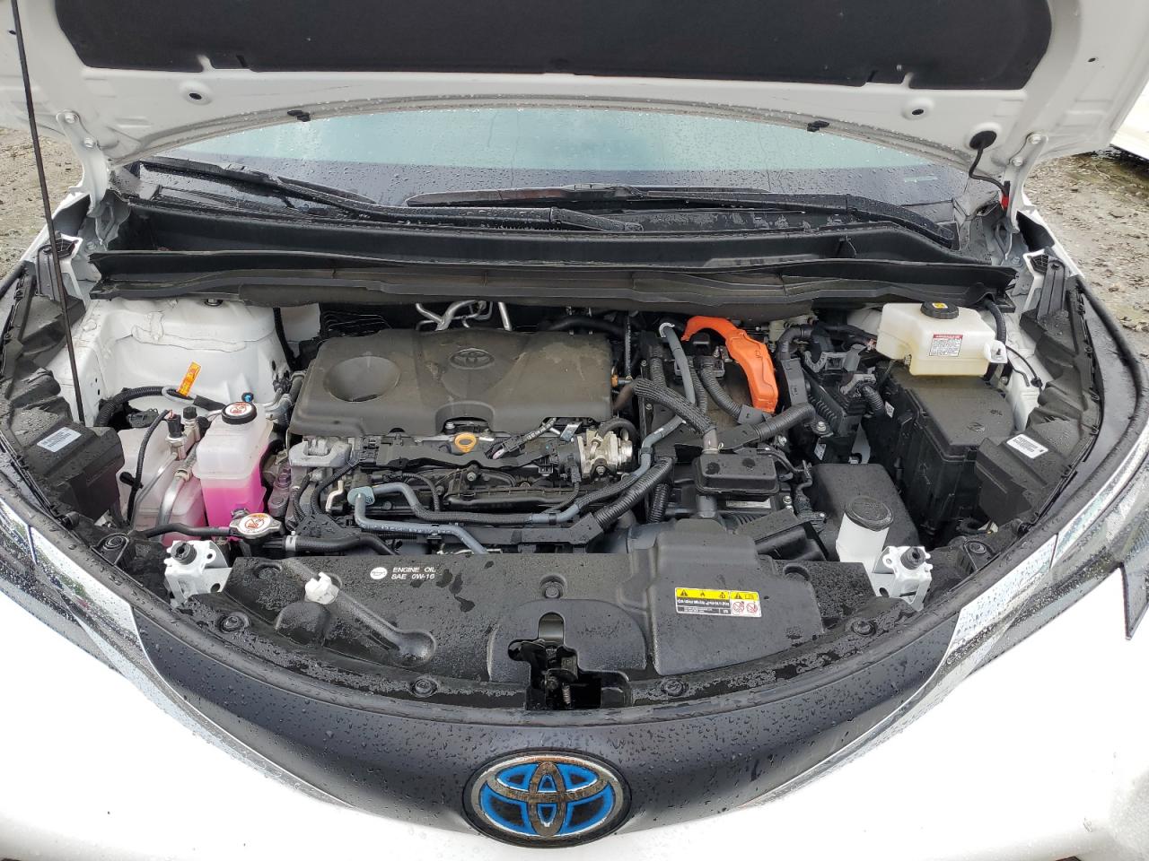 2025 TOYOTA SIENNA LE photo 34