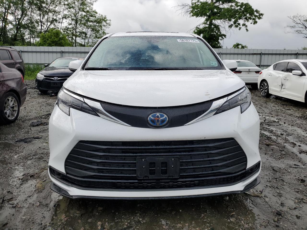 2025 TOYOTA SIENNA LE photo 13