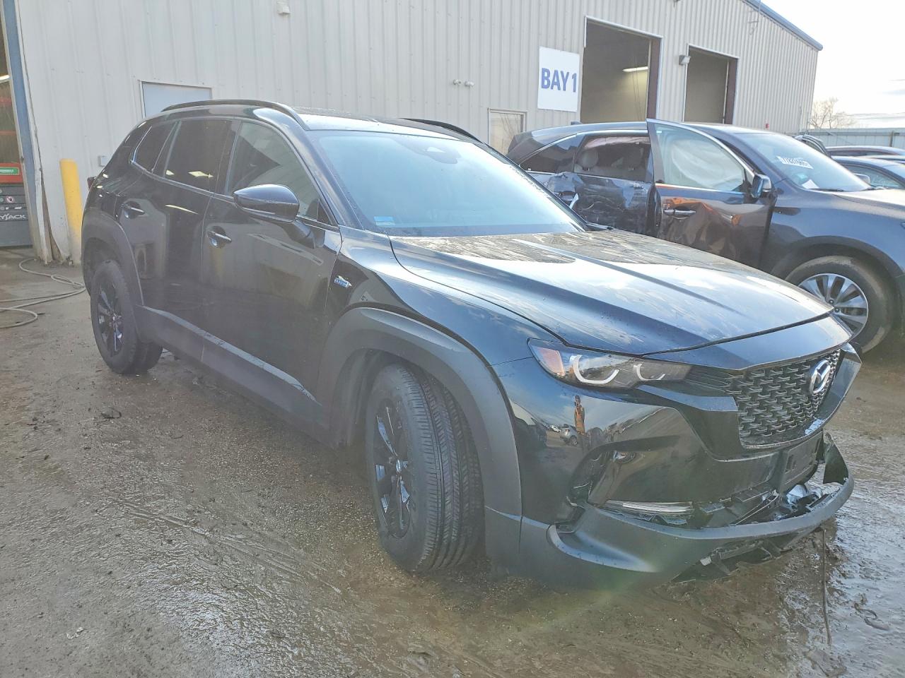 2025 MAZDA CX-50 PREMIUM photo 4
