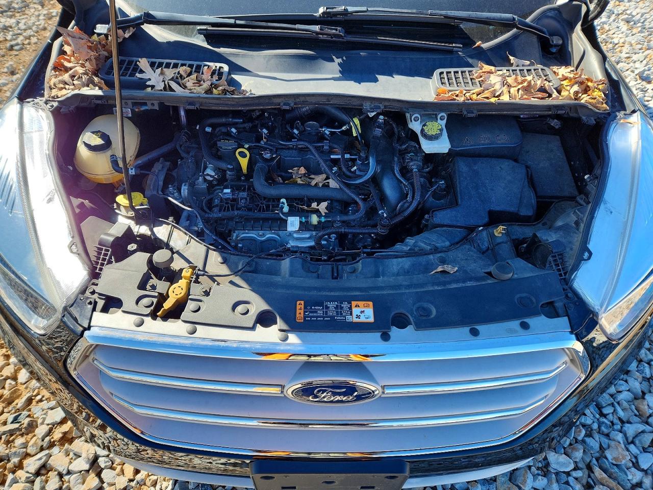 2019 FORD ESCAPE SE photo 12