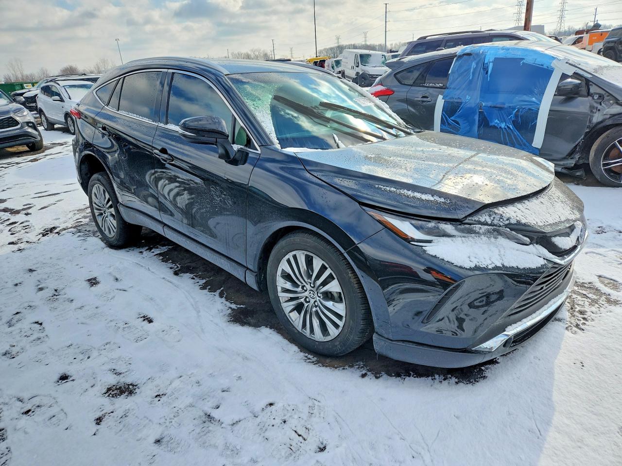 2023 TOYOTA VENZA XLE photo 4
