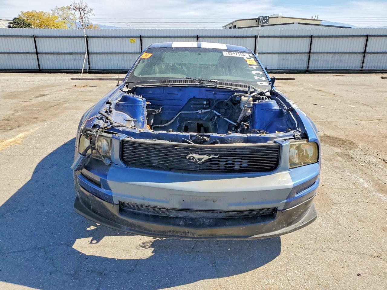 2007 FORD MUSTANG photo 5