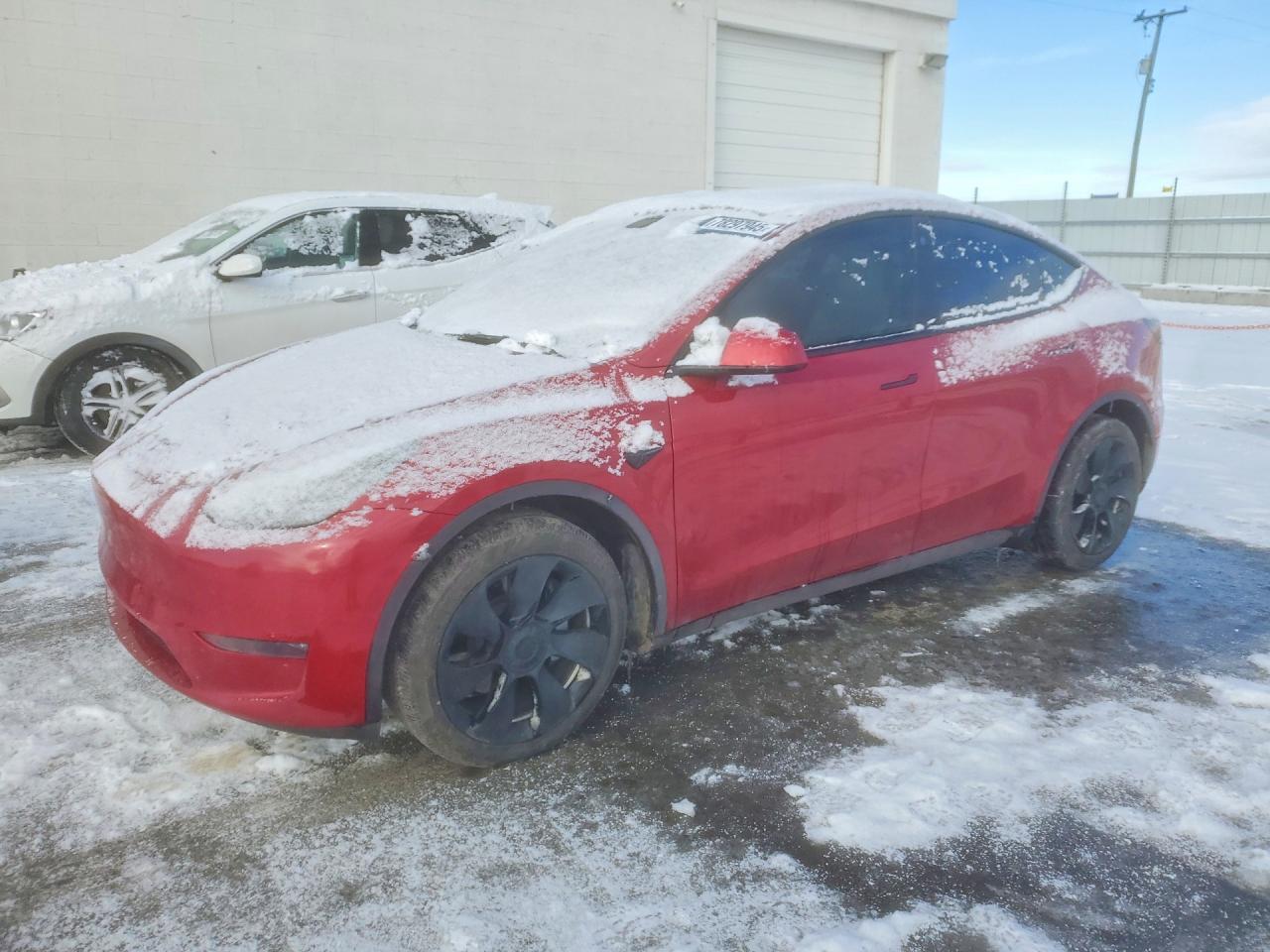 2021 TESLA MODEL Y