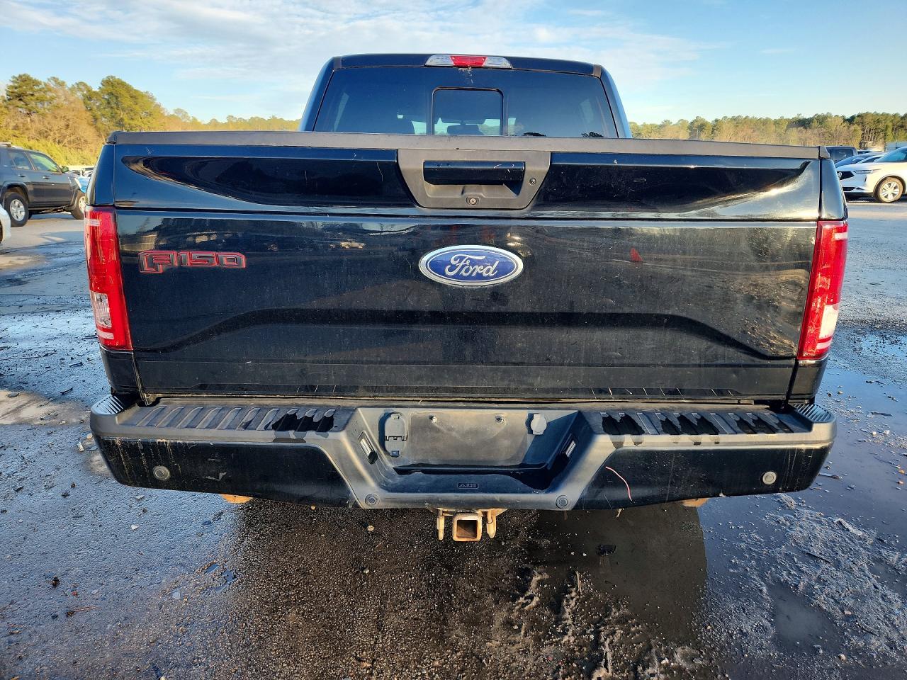 2017 FORD F150 SUPERCREW photo 11
