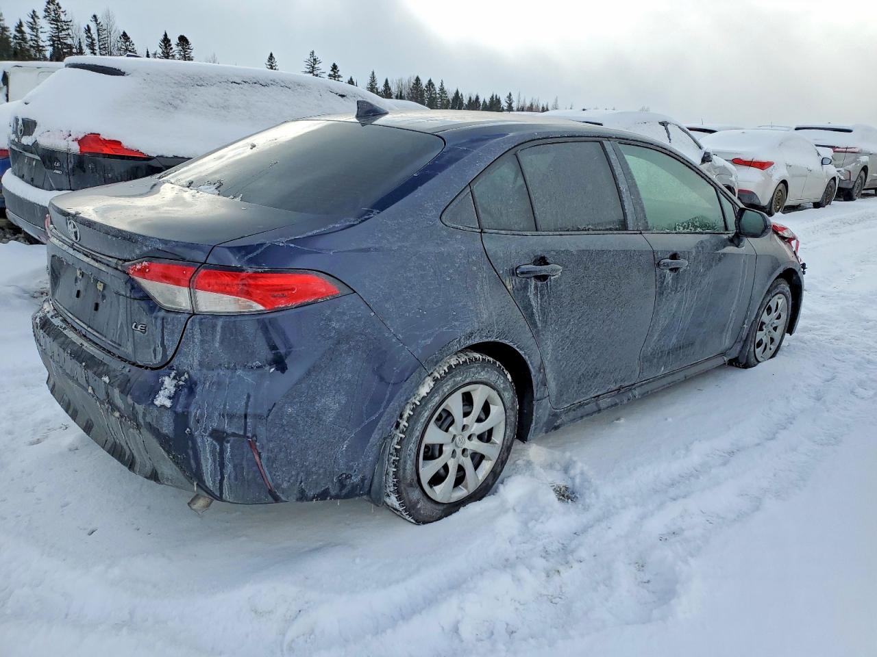 2025 TOYOTA COROLLA LE photo 3
