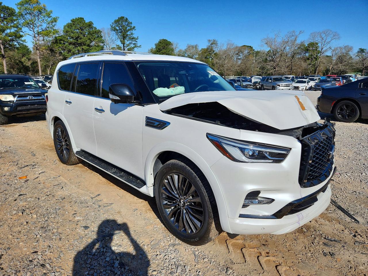 2021 INFINITI QX80 LUXE photo 10