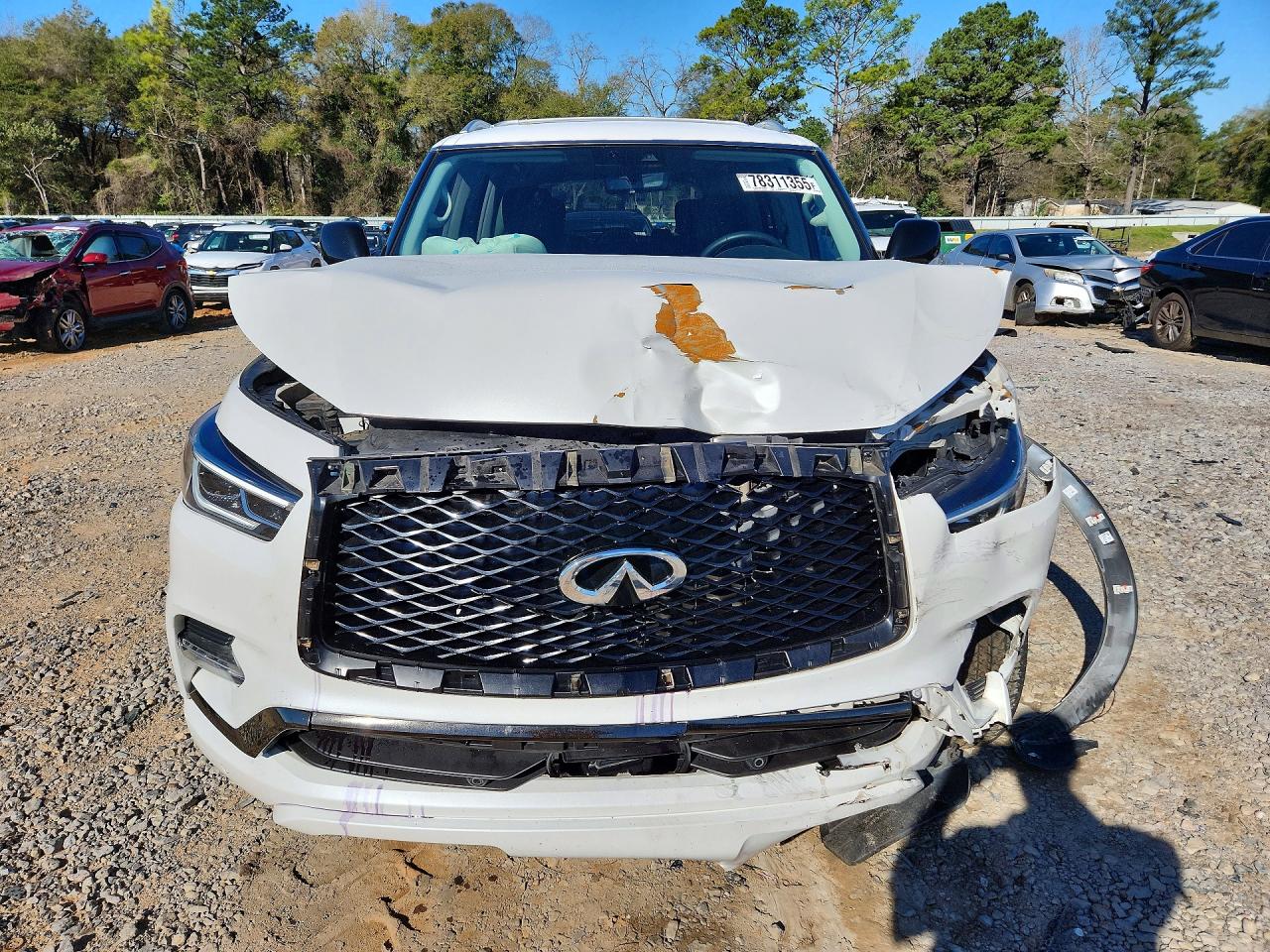 2021 INFINITI QX80 LUXE photo 13