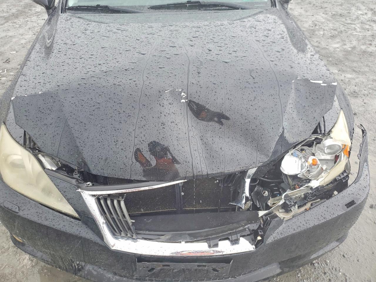2009 LEXUS IS photo 21