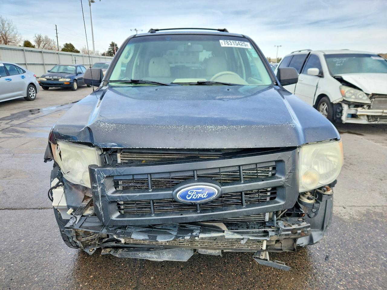 2010 FORD ESCAPE XLT photo 5