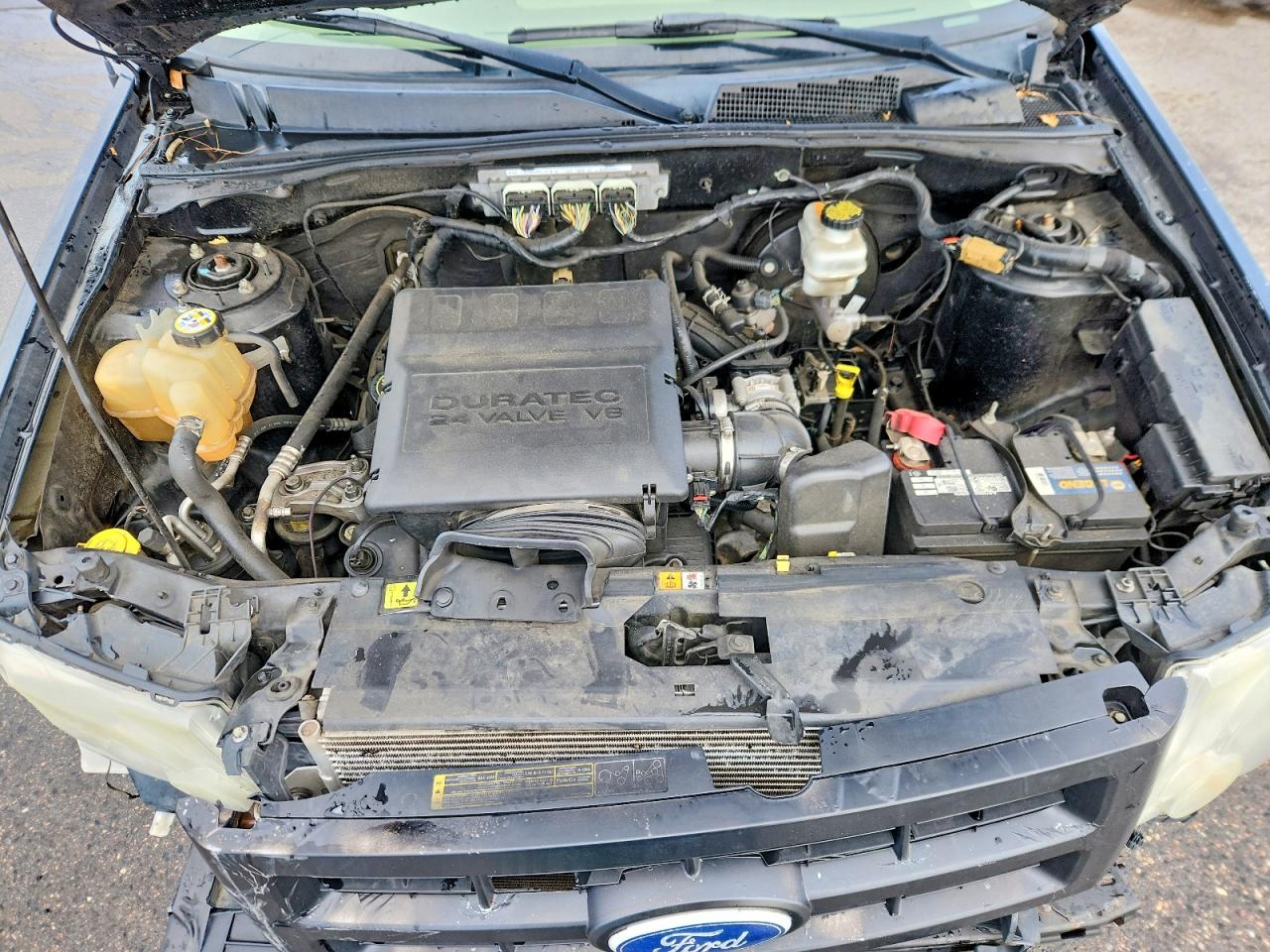 2010 FORD ESCAPE XLT photo 12