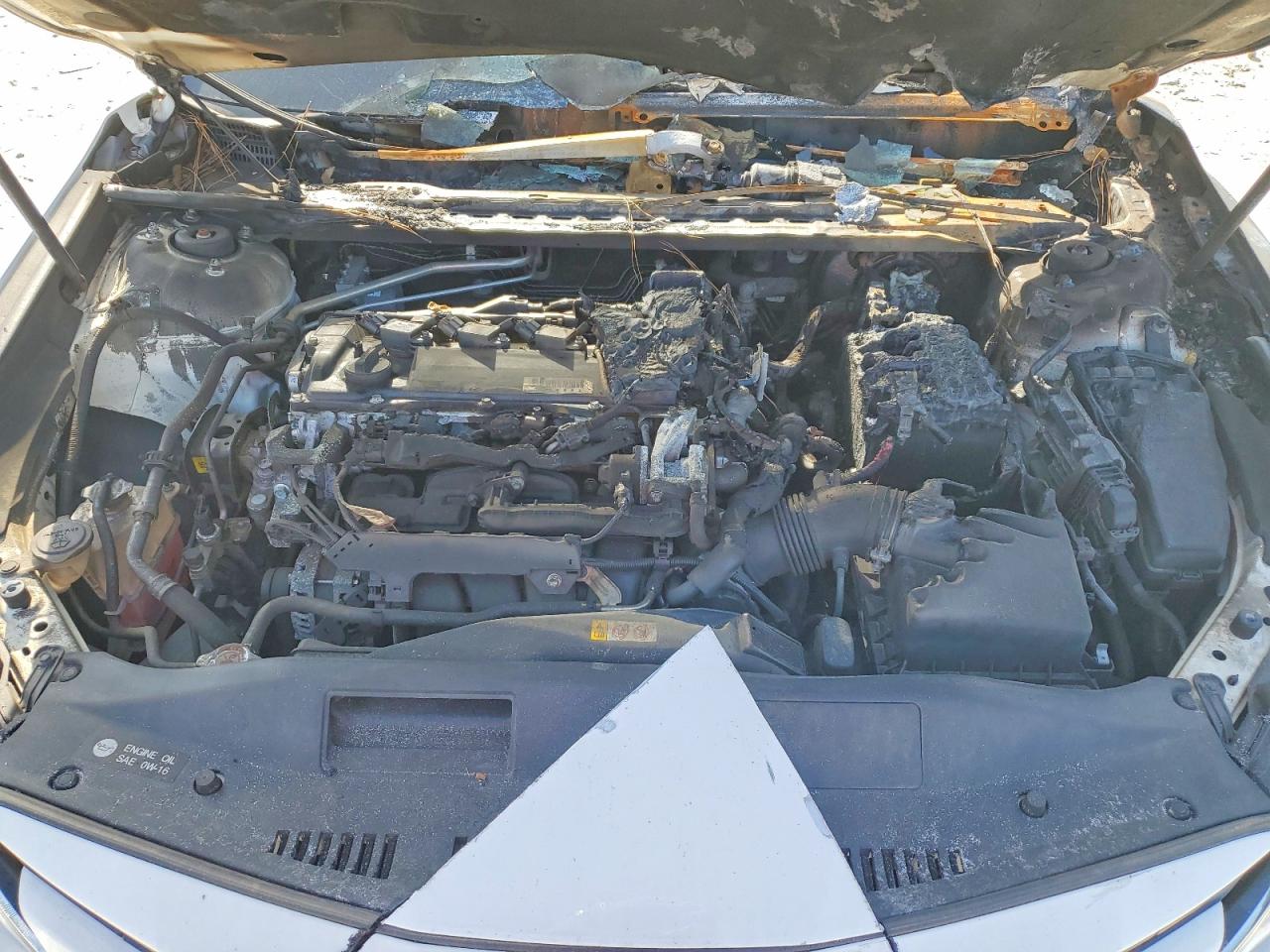 2019 TOYOTA CAMRY LE photo 21