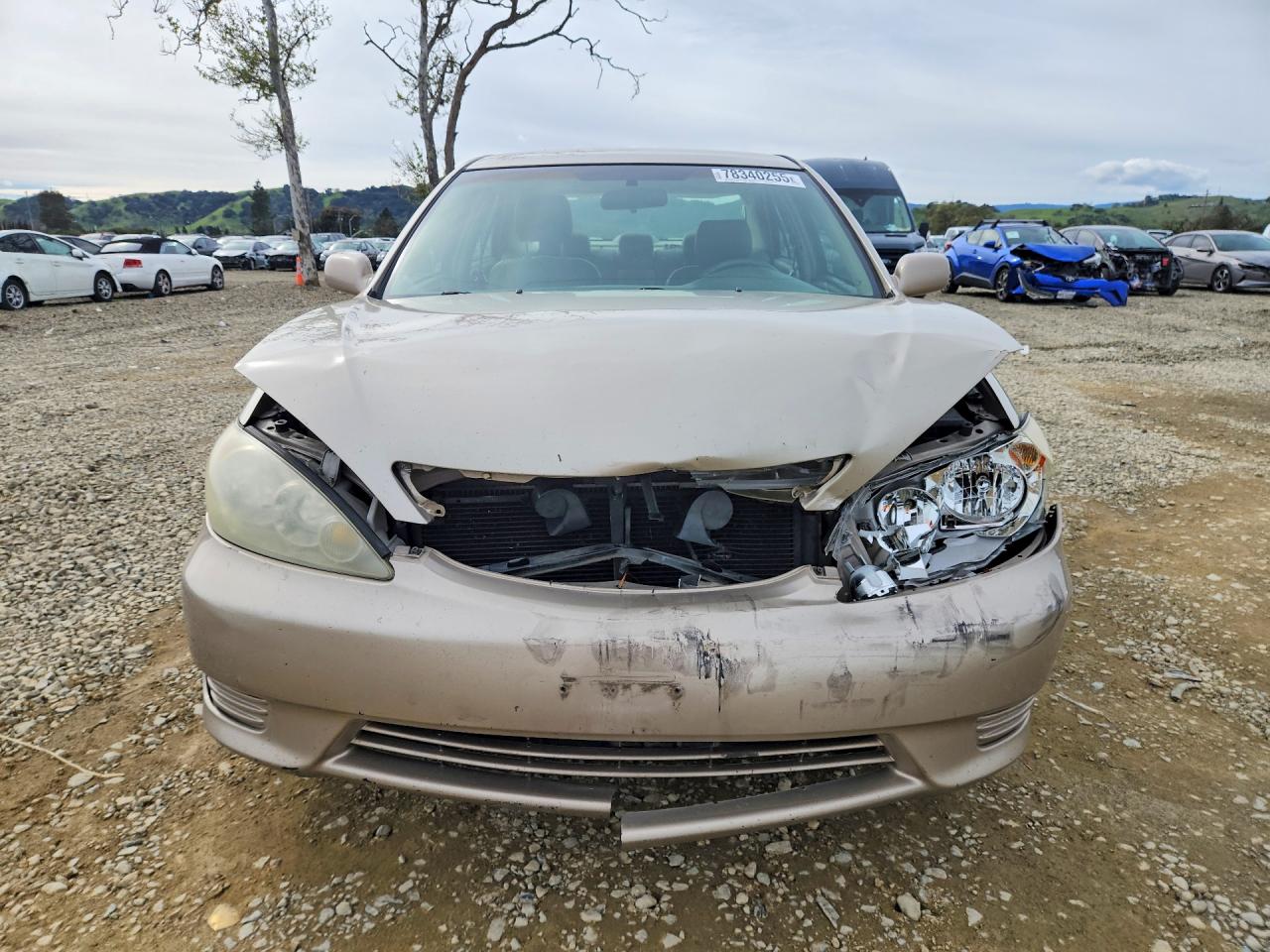 2006 TOYOTA CAMRY LE photo 5
