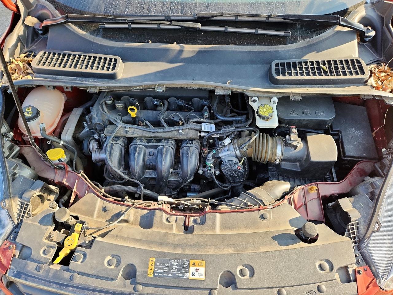 2019 FORD ESCAPE S photo 12