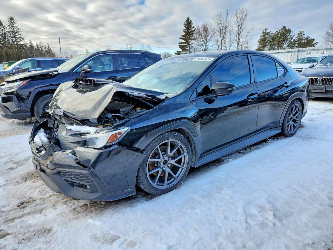 2022 SUBARU WRX