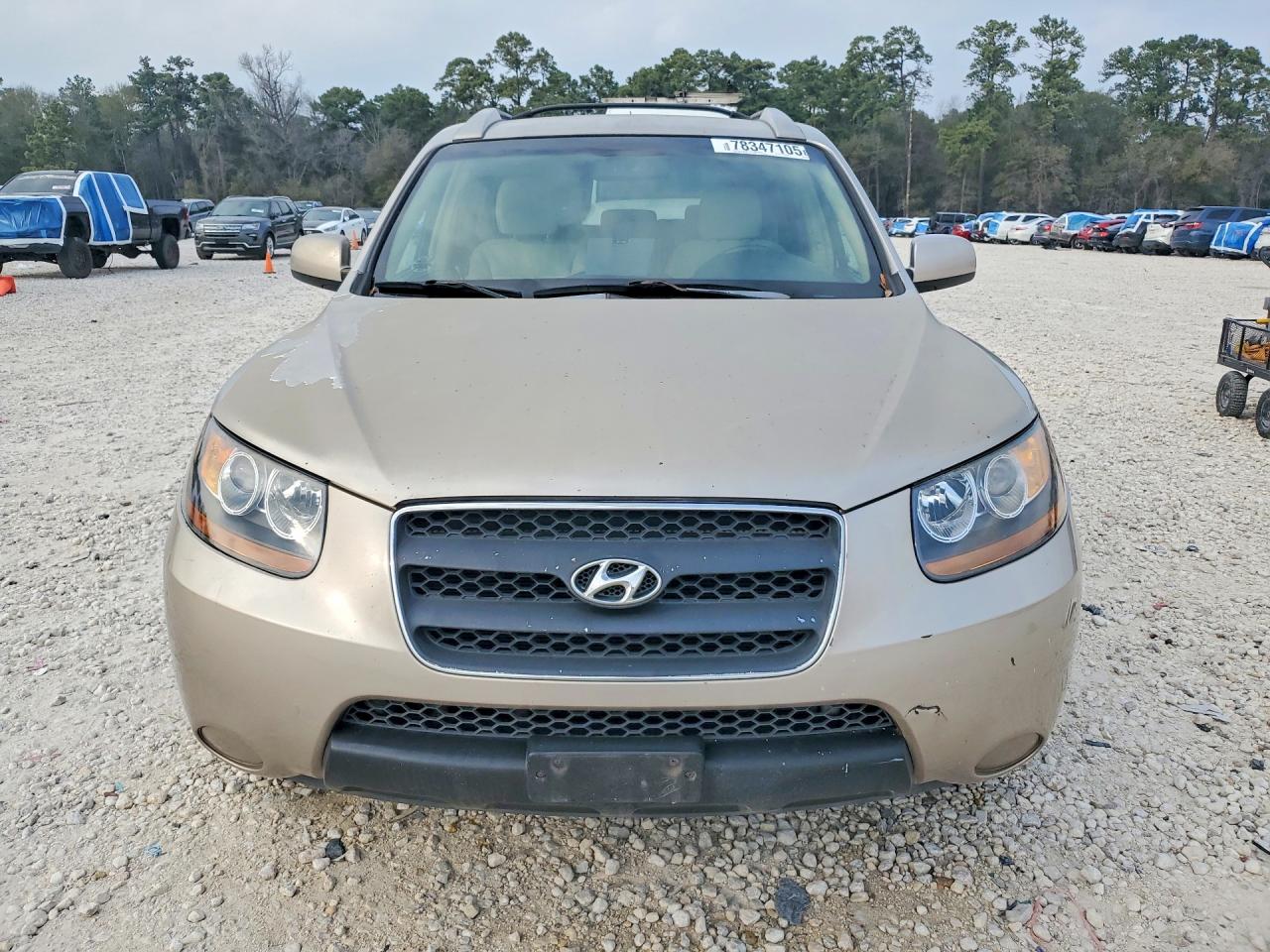 2007 HYUNDAI SANTA FE GLS photo 5