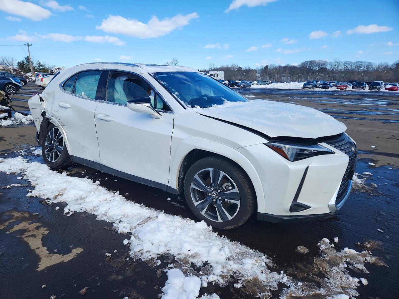 2025 LEXUS UX 300H BASE photo 7
