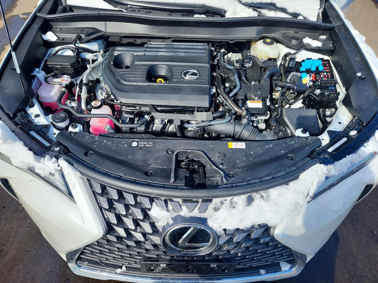 2025 LEXUS UX 300H BASE photo 23