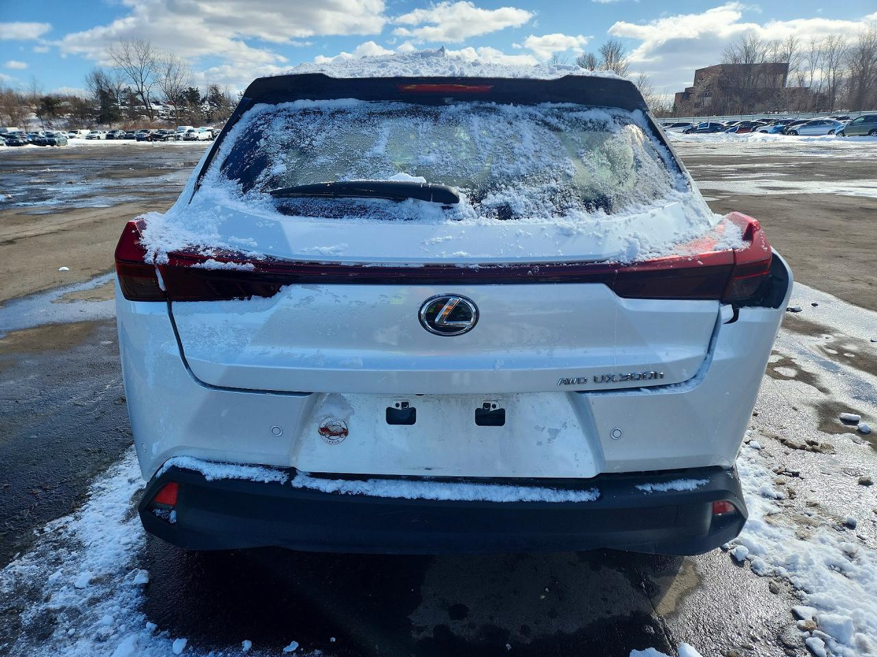 2025 LEXUS UX 300H BASE photo 11