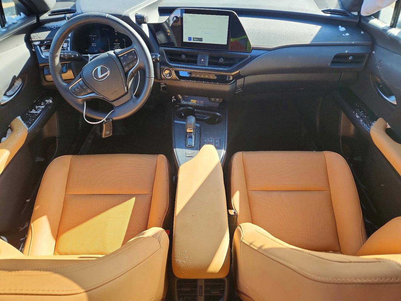 2025 LEXUS UX 300H BASE photo 15