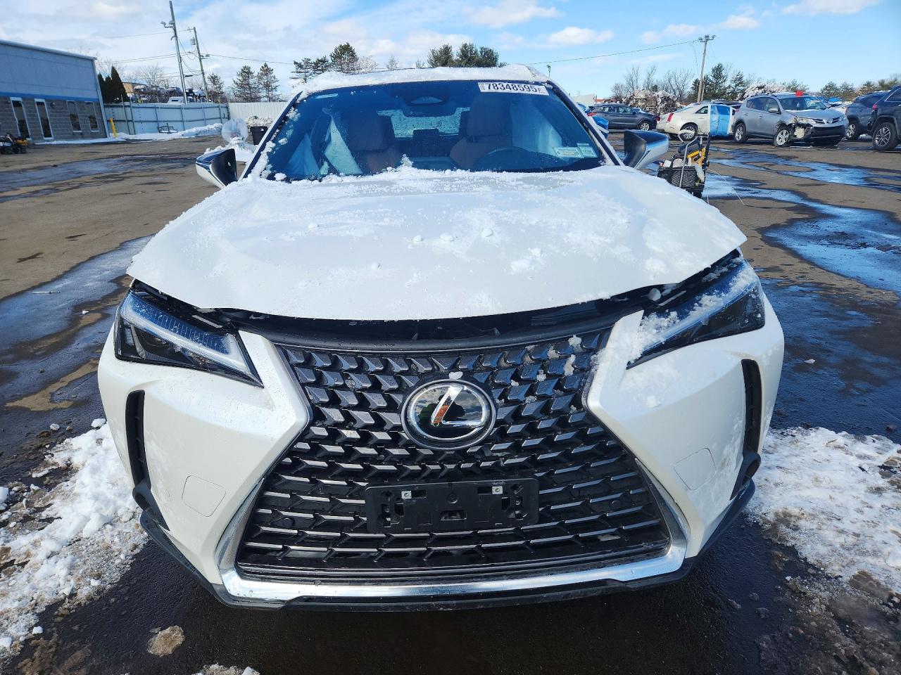 2025 LEXUS UX 300H BASE photo 9