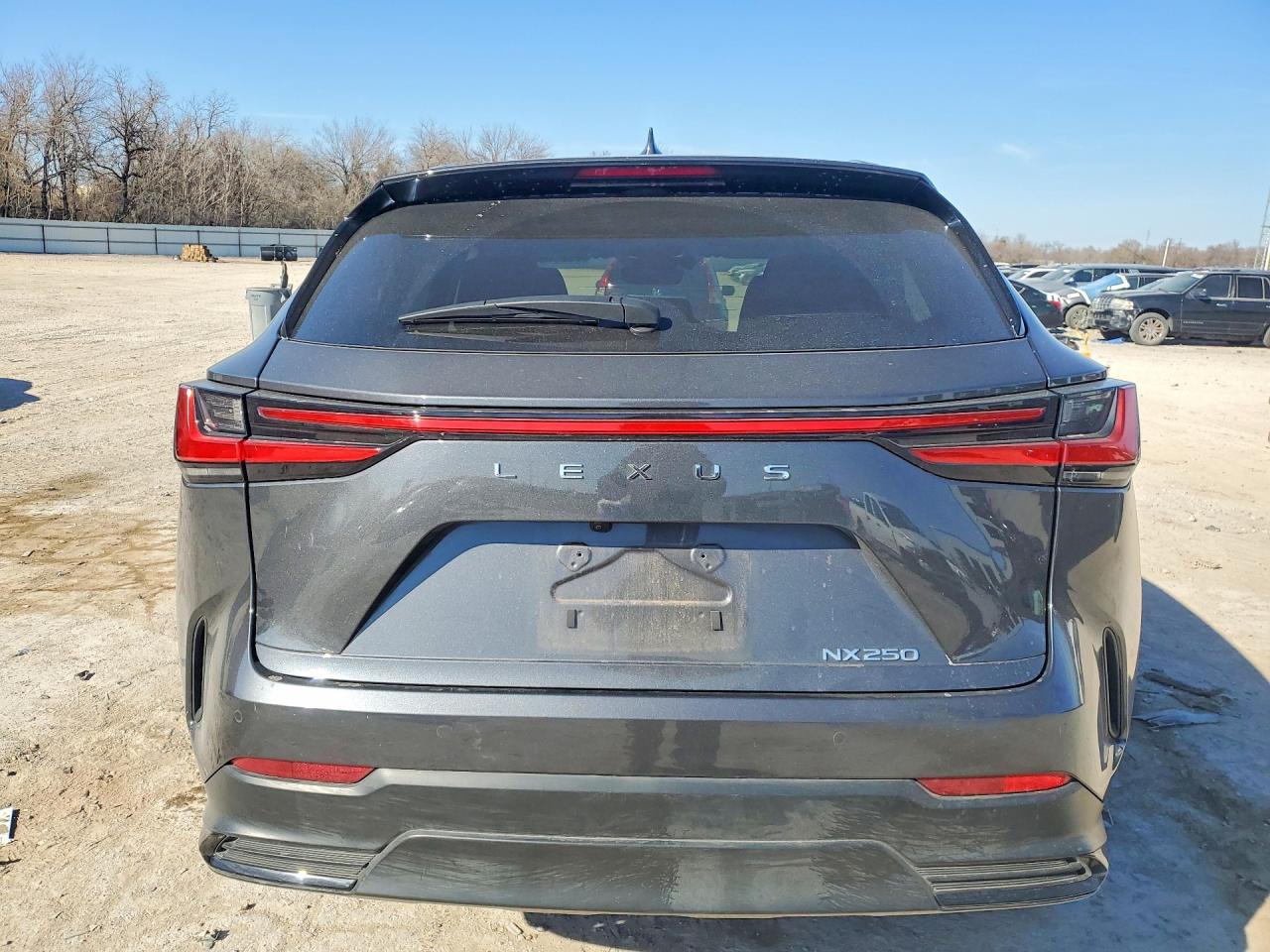 2025 LEXUS NX 250 BASE photo 11